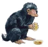 Image postée par le membre