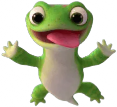 Image postée par le membre