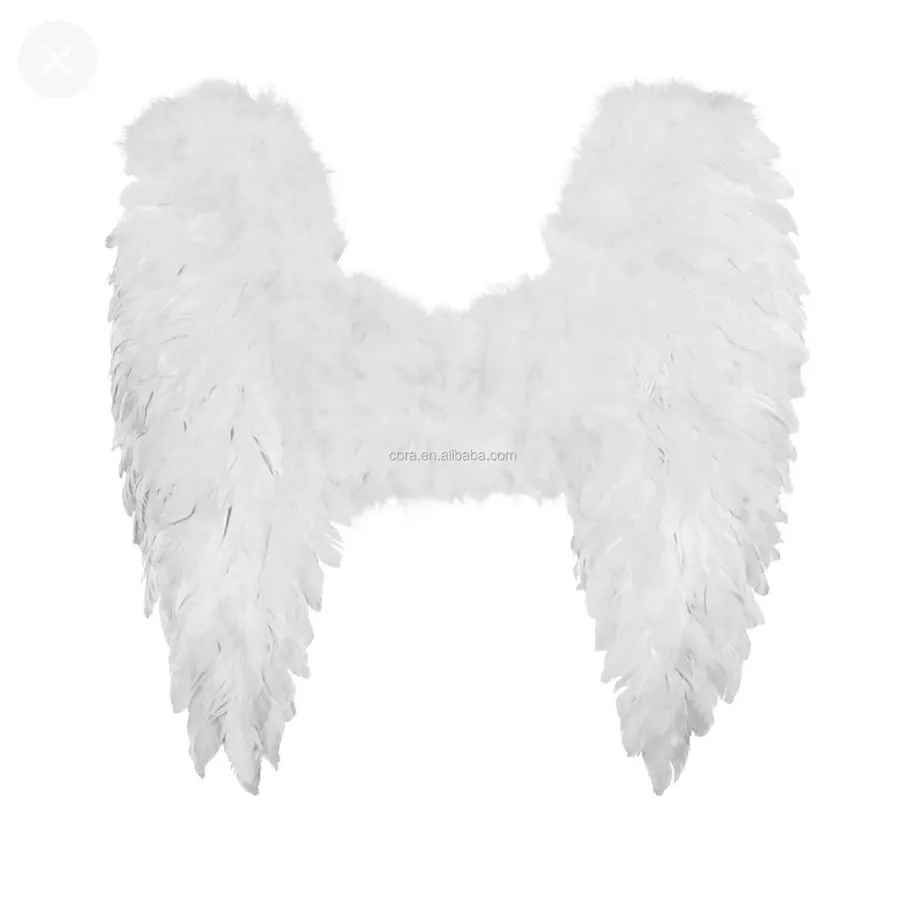 Image postée par le membre