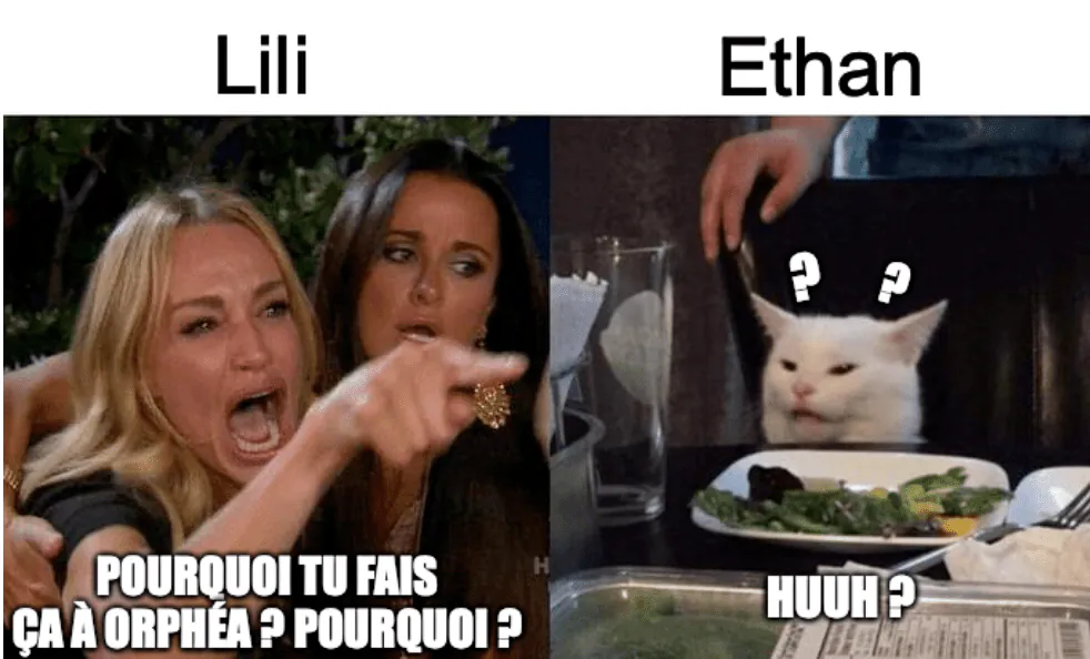 Image postée par le membre