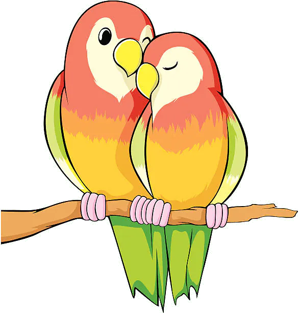 Couple d'inséparables