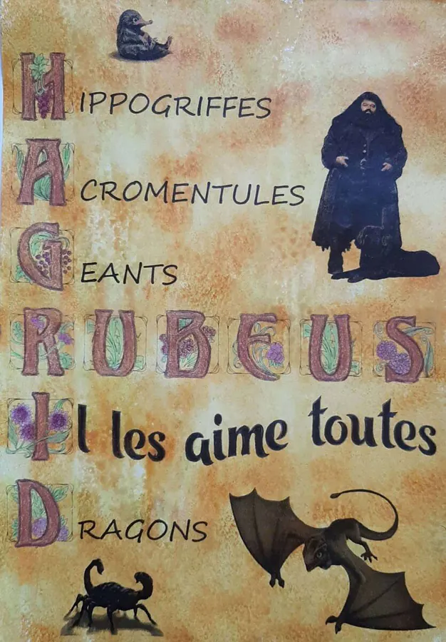 Image postée par le membre