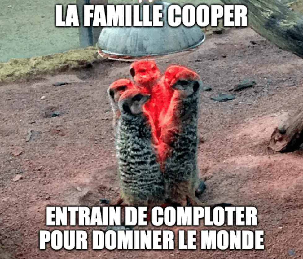 Image postée par le membre
