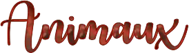 Image postée par le membre