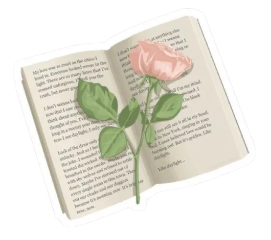 Livre ouvert avec une rose devant