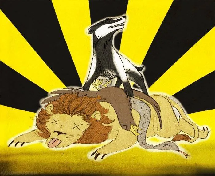 Image postée par le membre