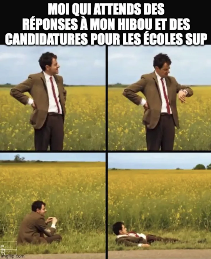 Image postée par le membre