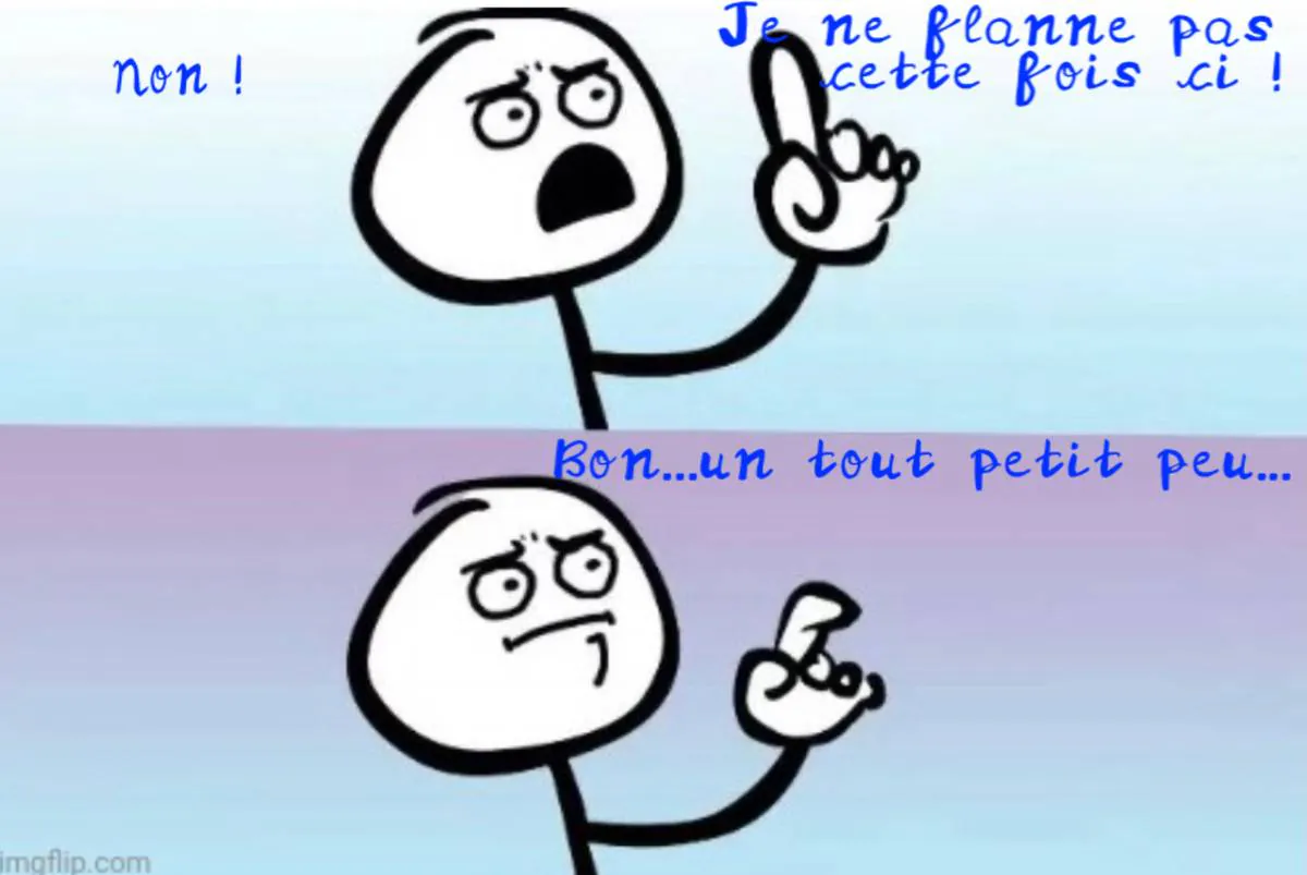 Image postée par le membre