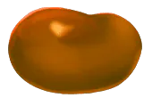 Image postée par le membre