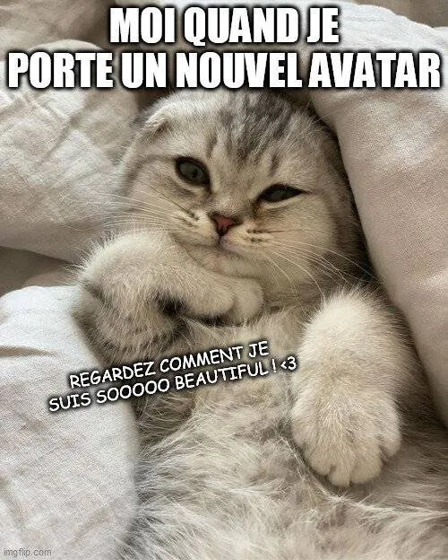 Image postée par le membre