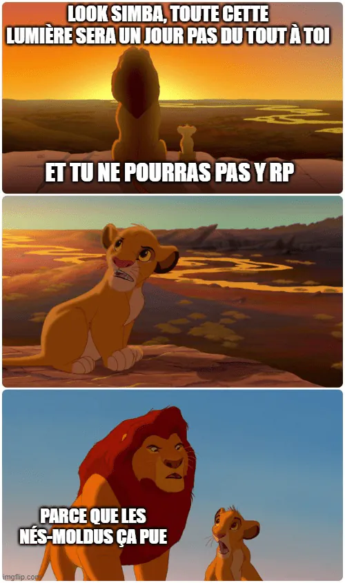 Image postée par le membre