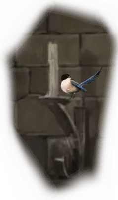 Image postée par le membre