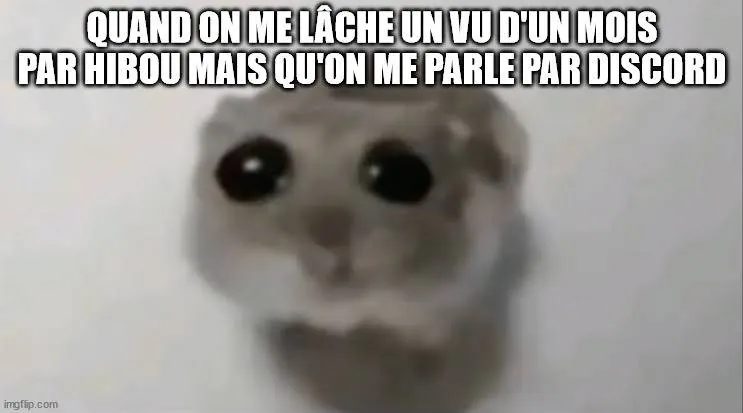 Image postée par le membre