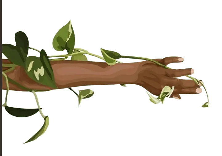 Image postée par le membre