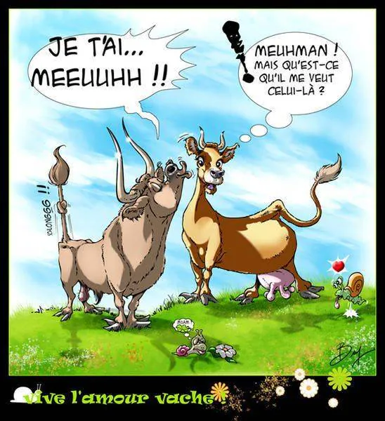 Image postée par le membre