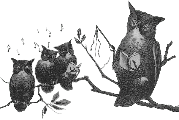 Image postée par le membre