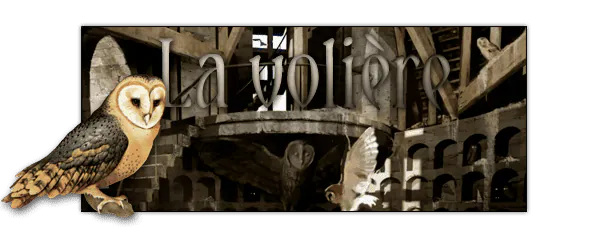 Image postée par le membre