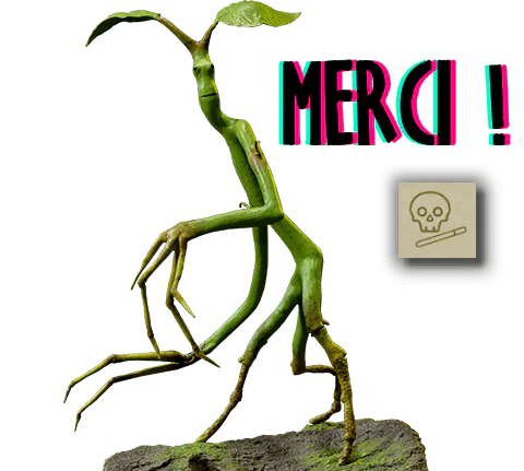 Image postée par le membre