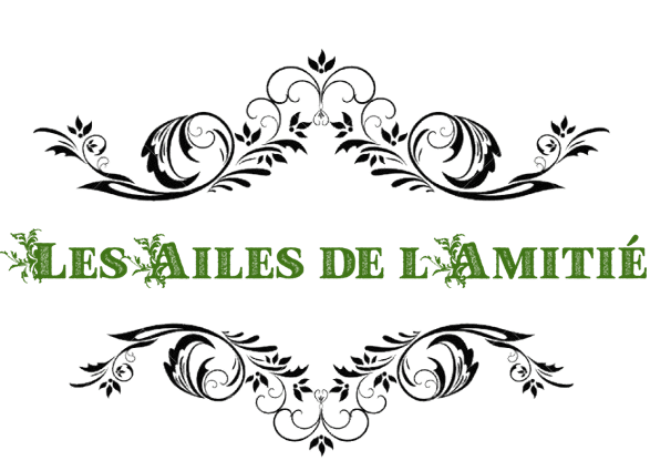 Image postée par le membre