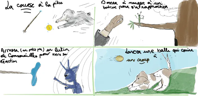 Image postée par le membre
