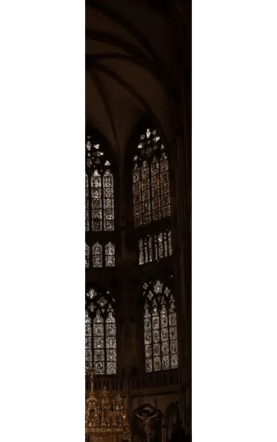 Image postée par le membre