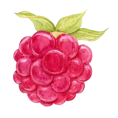 Image postée par le membre
