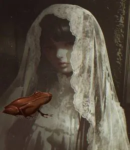 Image postée par le membre