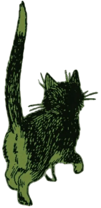 Image postée par le membre