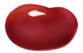 Image postée par le membre