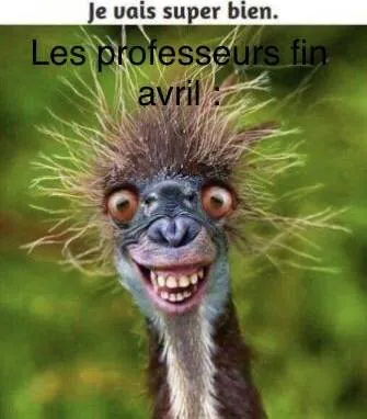Image postée par le membre