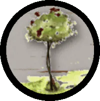 Image postée par le membre
