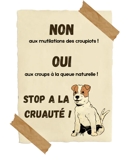 Image postée par le membre