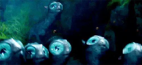 Image postée par le membre