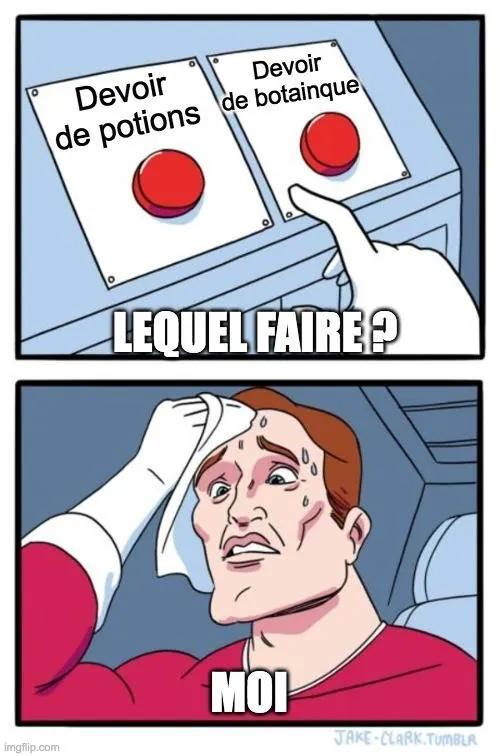 Image postée par le membre