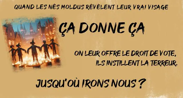 Image postée par le membre
