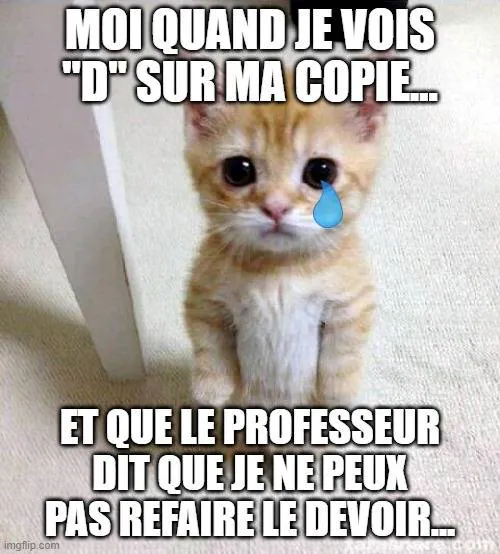 Image postée par le membre