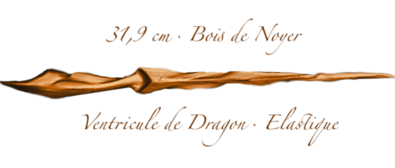 Image postée par le membre