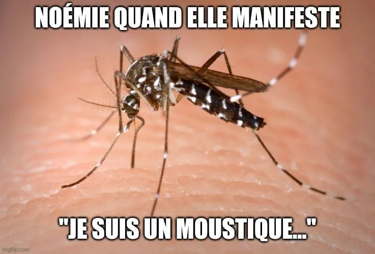 Image postée par le membre