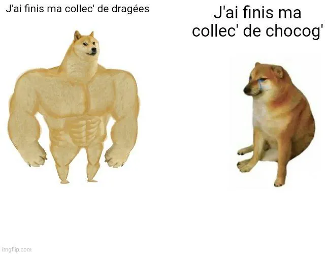 Image postée par le membre