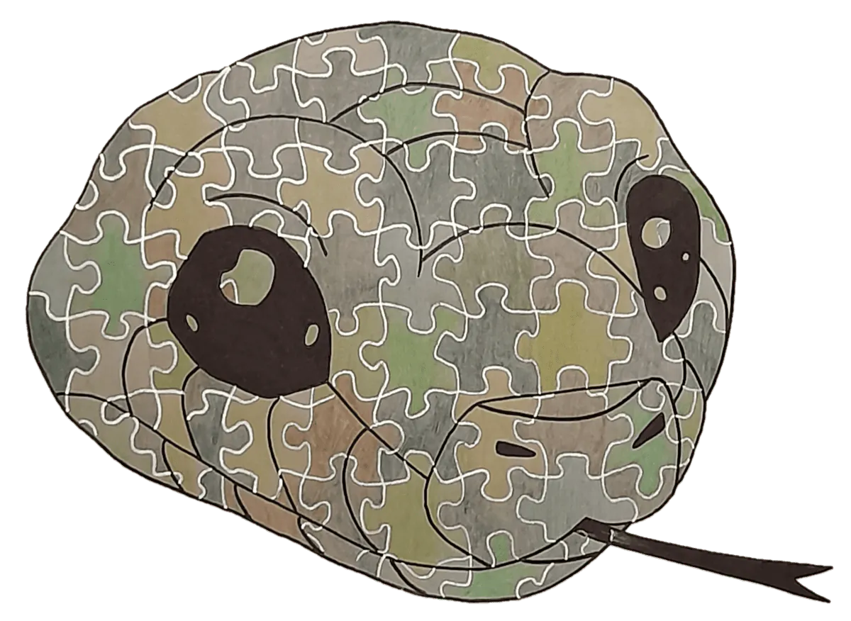 Image postée par le membre