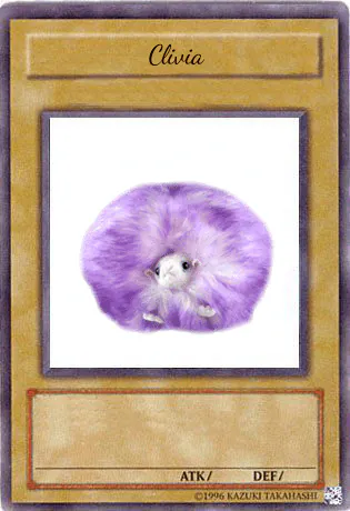 Image postée par le membre