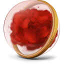 Image postée par le membre