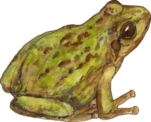 Image postée par le membre