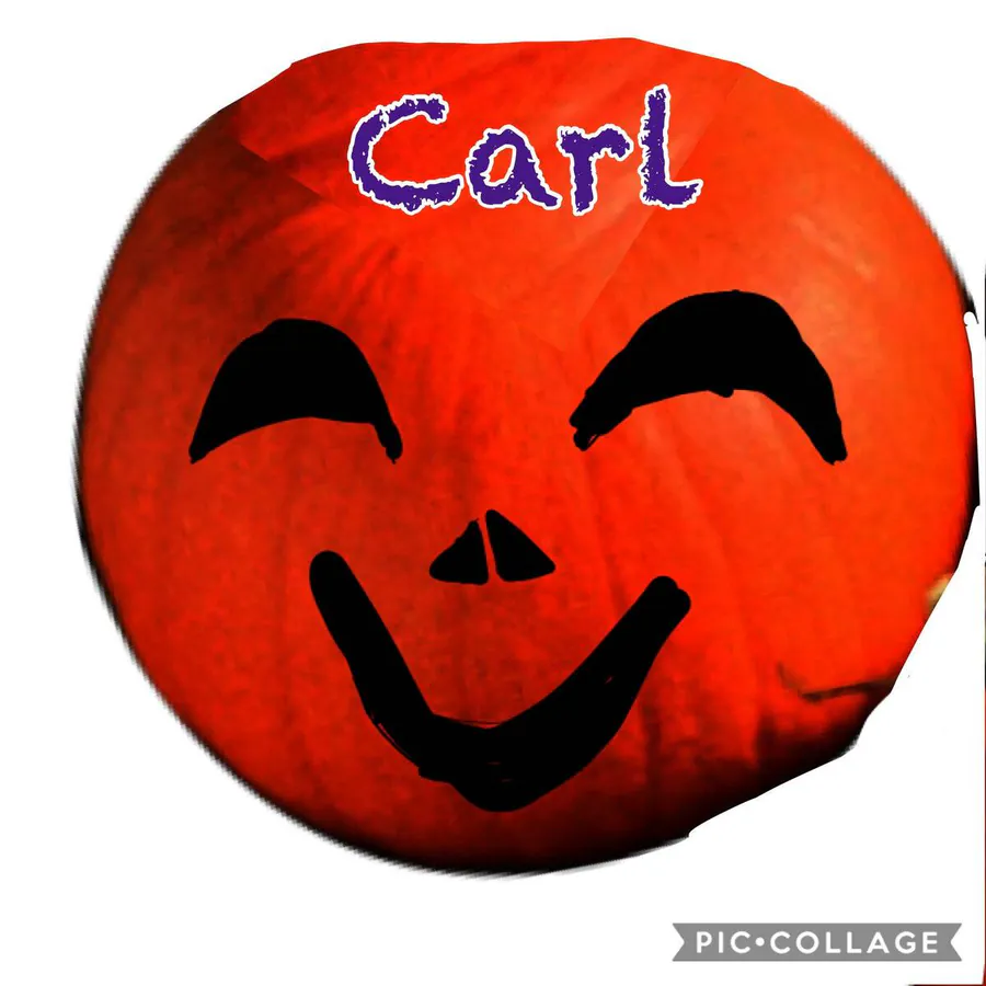Image postée par le membre