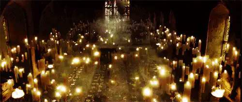 Image postée par le membre