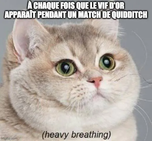 Image postée par le membre