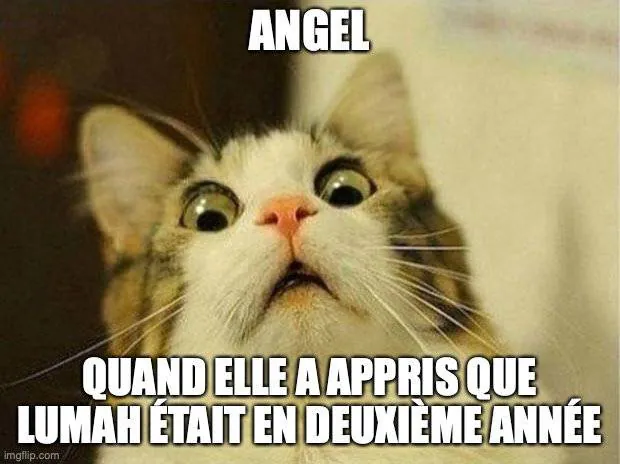 Image postée par le membre