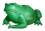 Image postée par le membre