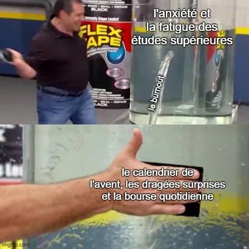 Image postée par le membre