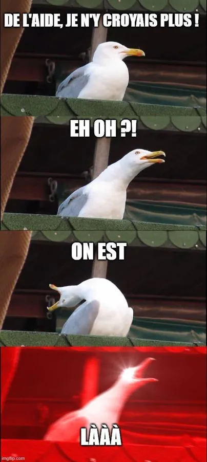 Image postée par le membre